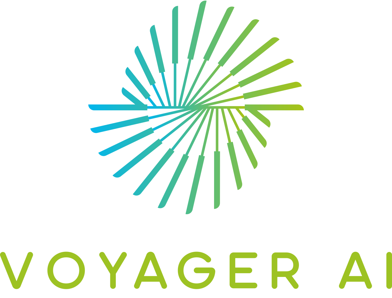Voyager AI